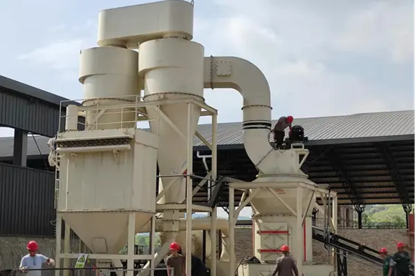 Raymond mill processes bamboo and wood